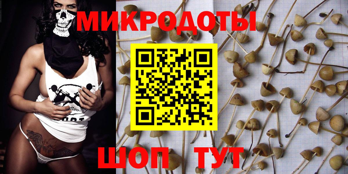 Галлюциногенные грибы Psilocybe Волжский