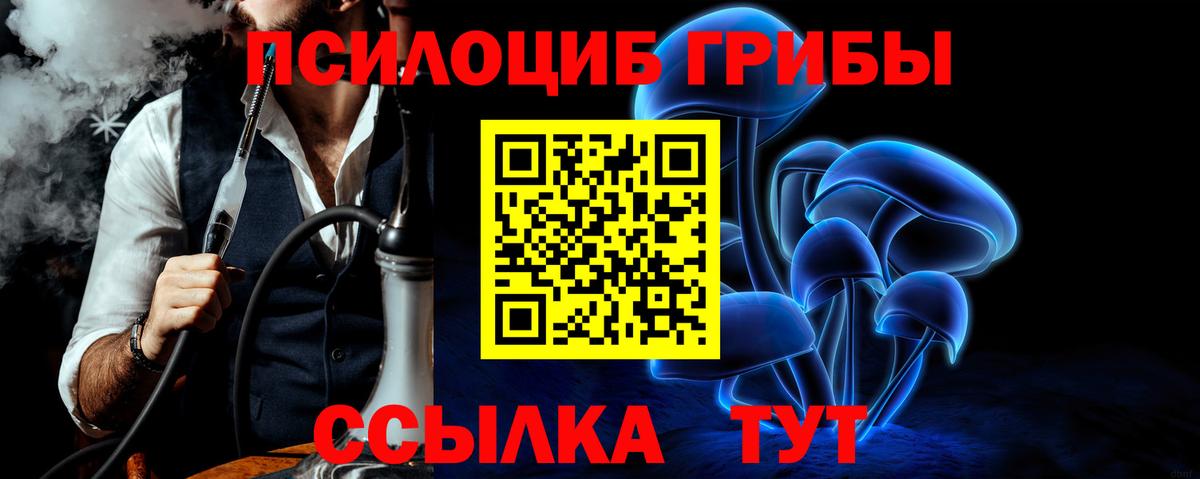 Волжский  Галлюциногенные грибы Cubensis  Галлюциногенные грибы мицелий  Вход с VPN 